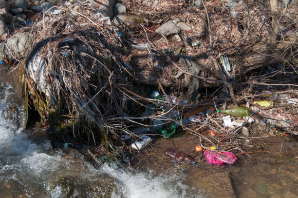 istock Plastic and foam garbage floating on the surface of the river 1142766872