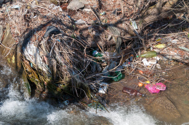 istock Plastic and foam garbage floating on the surface of the river 1142767503