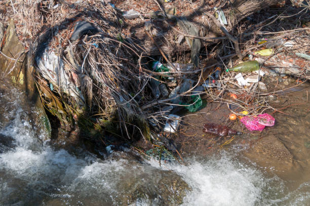 istock Plastic and foam garbage floating on the surface of the river 1142767587