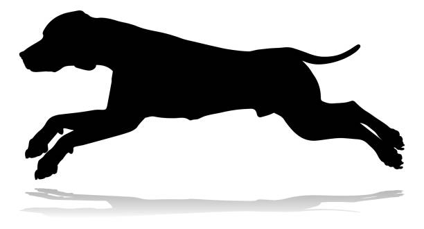 hund silhouette tierheim - isolated dog animal puppy stock-grafiken, -clipart, -cartoons und -symbole