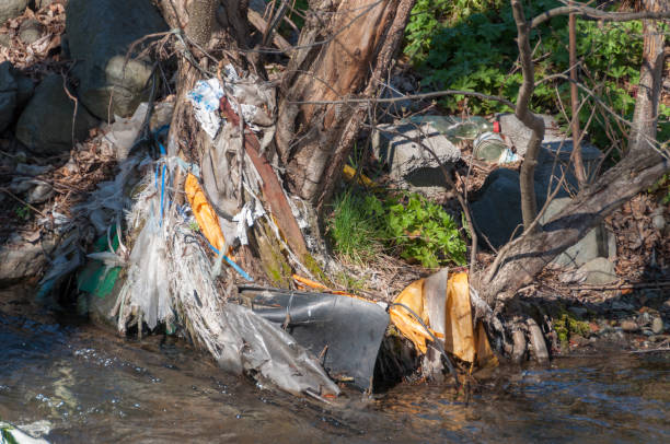 istock Plastic and foam garbage floating on the surface of the river 1142768245