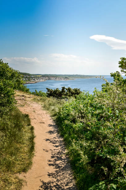 istock Footpath leading beside the coast to Molle town in Sweden 1142771430