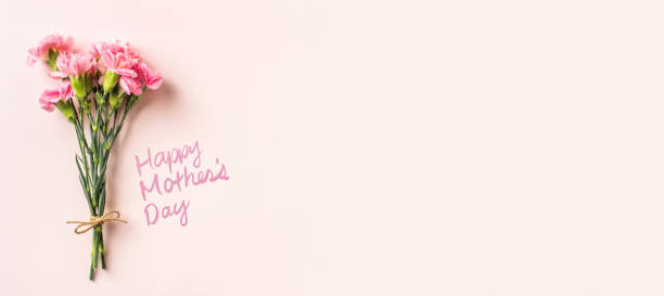 istock top view of carnation on pink background 1142775963