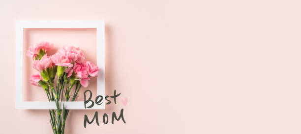 istock top view of carnation with white frame on pink 1142775977