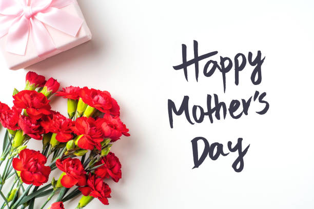 istock top view of carnation on white for mothers day 1142776014