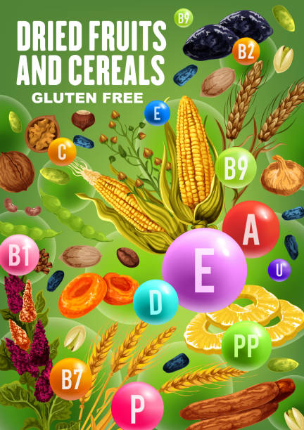 Vitamins in dried fruits, nuts and cereals Dried fruits, nuts, beans and cereals rich of vitamins and minerals. Vector date, raisins and fig, prune, banana and pineapple, walnut, apricot and hazelnut, wheat, pistachio, buckwheat, corn and rye grape pruning stock illustrations
