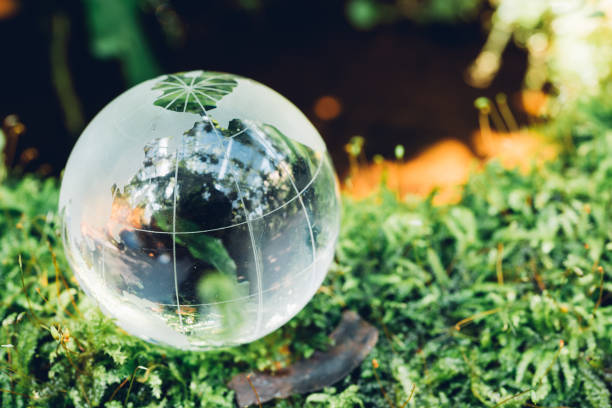 istock Globe glass in grass forest on nature background 1142776242