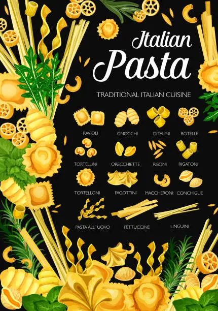 Vector illustration of Italian cuisine pasta, premium restaurant menu
