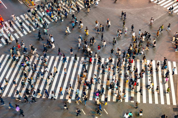 istock Busy Shibuya Pedestrian Crossing From Above 1142779969