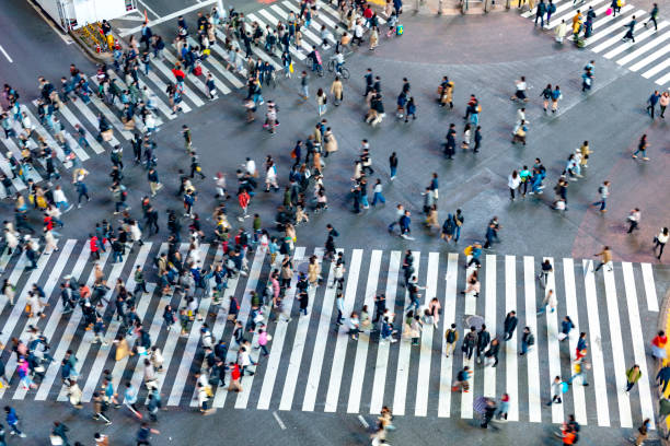 istock Busy Shibuya Pedestrian Crossing From Above 1142779970