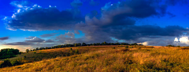 istock Fields landscape in summer sunset and sunrise 1142780067