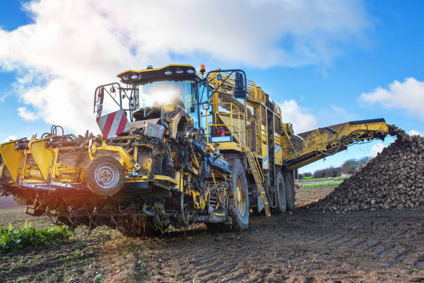macchina per la raccolta delle barbabietole - beet sugar tractor field foto e immagini stock