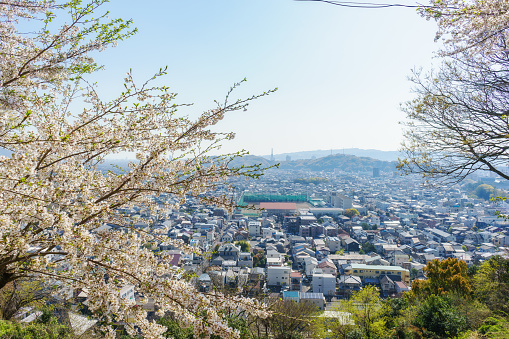 View from Mt. Shizuhata-yama, Shizuoka-pref.