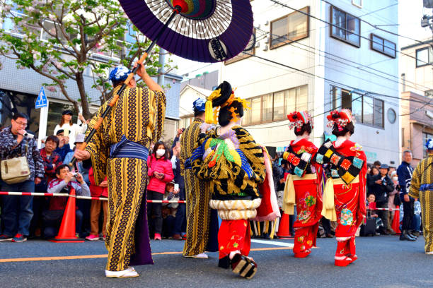 Asakusa Oiran Dochu (Parade): Parade and Stage Performance in Tokyo Tokyo, Japan-April 13, 2019:
Oirans' parade on the street of Asakusa after their stage performance in Asakusa, Tokyo. The woman under the umbrella with very elaborate kimono is Tayu, the highest-ranked Oiran.
Oiran was a profession which flourished during Edo period (1600-1868) of Japan and was one of the popular figures in the woodblock prints. Although it has since died out, the Oiran tradition has survived even up to today in the form of parade and local entertainment in some parts of Japan. Oiran was, if I put in a nutshell, high class Geisha girls of those days. Yoshiwara near Asakusa was one of such most famous places and the parade and stage performance have been taking place on the second Saturday of April each year, attracting a huge crowd.
The highest-ranked Oiran was called Tayu, who wear very elaborate silk kimono weighing about 20 kilograms. She wears about 15 cm high Geta (clogs) and walks in a special style called Soto-Hachi-Monji (outside 8 letter), as if she is drawing letter “8” by her feet, placing her hand on the shoulder of an accompanying man to keep her balance. oiran stock pictures, royalty-free photos & images