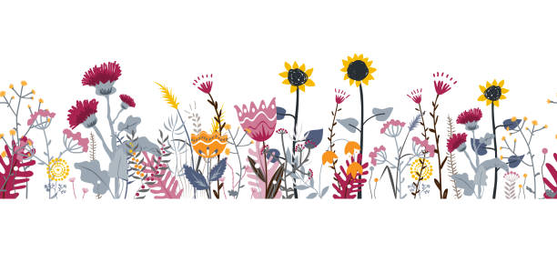 Vector nature seamless background with hand drawn wild herbs, flowers and leaves on white. Doodle style floral illustration border