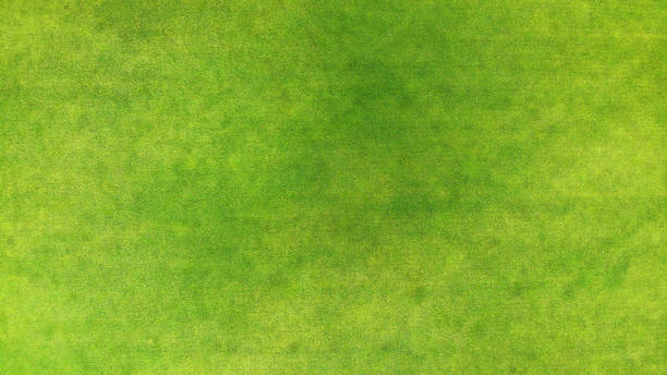 istock Aerial. Green grass texture background. Top view. 1142791926