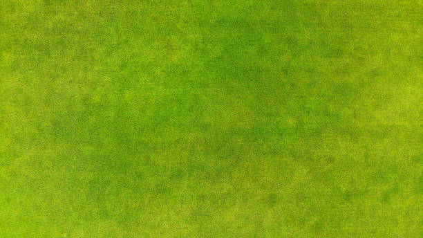 istock Aerial. Green grass texture background. Top view. 1142791946