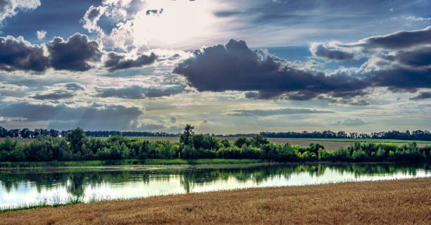 istock Fields landscape in summer sunset and sunrise 1142792142