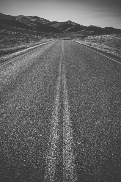 istock Asphalt country road 1142792513