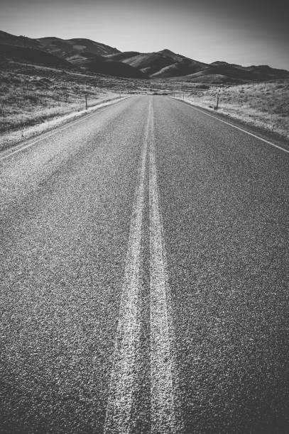 istock Asphalt country road 1142792527