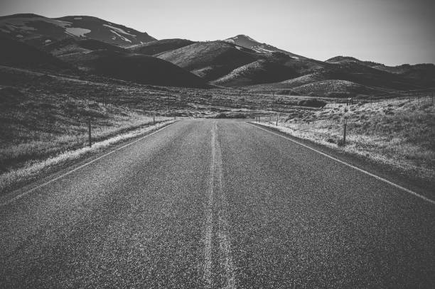 istock Asphalt country road 1142792542