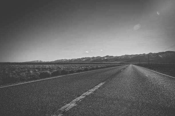 istock Asphalt country road 1142792583