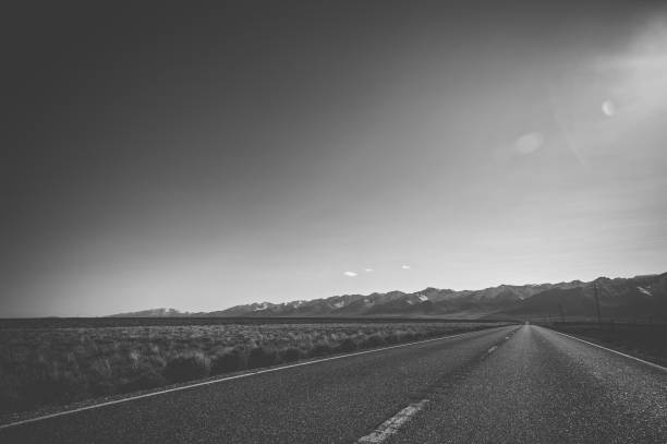 istock Asphalt country road 1142792603