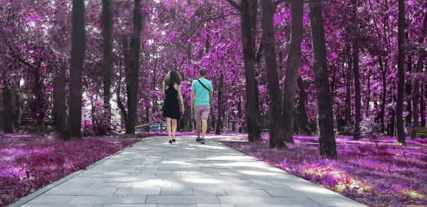 young couple walking in the park, back view