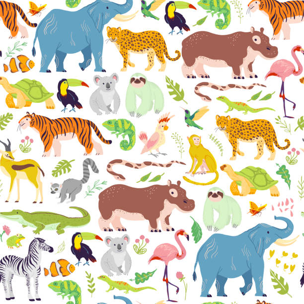 ilustraciones, imágenes clip art, dibujos animados e iconos de stock de vector plano tropical sin costuras patrón con elementos florales de la selva dibujados a mano, animales, pájaros aislados. - jungle
