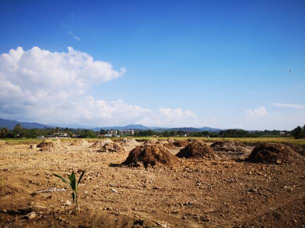 istock Picture shows paddy field clearing where soon the new industrial project or construction will be build-up. 1142798503
