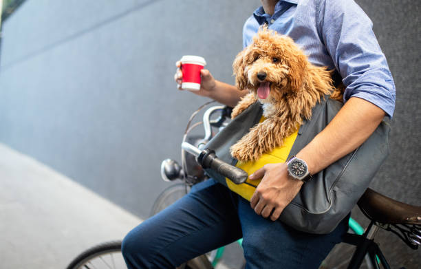 Young man drinking coffee while sitting on his bicycle with dog outdoors Young bearded man drinking coffee while sitting on his bicycle with dog outdoors hipster dog stock pictures, royalty-free photos & images