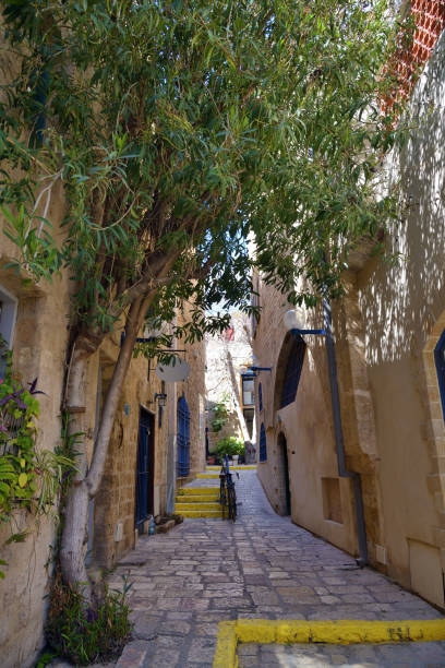istock Ancient stone street in Old Jaffa, Israel 1142799259