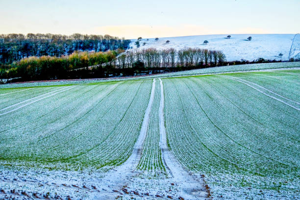 istock a frost covered plowed field with vertical lines 1142801332