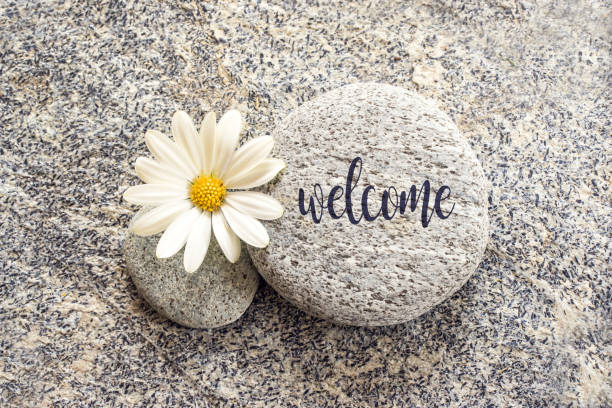 istock Word Welcome written on a stone background with a daisy 1142803962