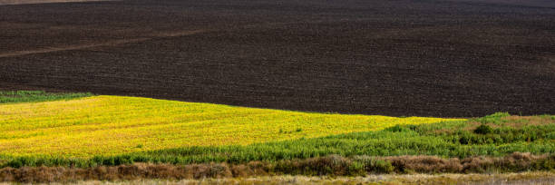 plowed agricultural field and raw field.
