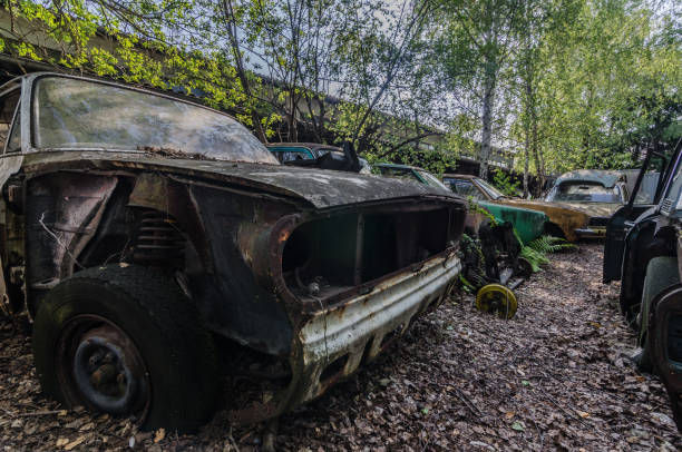 Cars with trees on old abandoned junkyard
