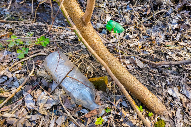 istock Plastic bottle lies on the ground in forest 1142808812