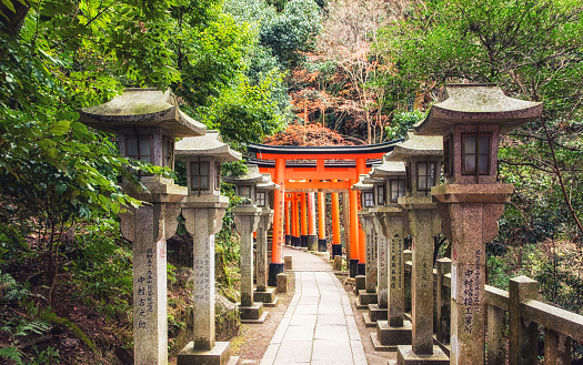 Torii gates in Fushimi Inari Shrine.