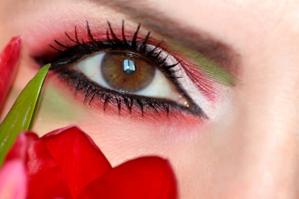 istock Makeup brown green eyes with red and green eyeshadow 1142811687
