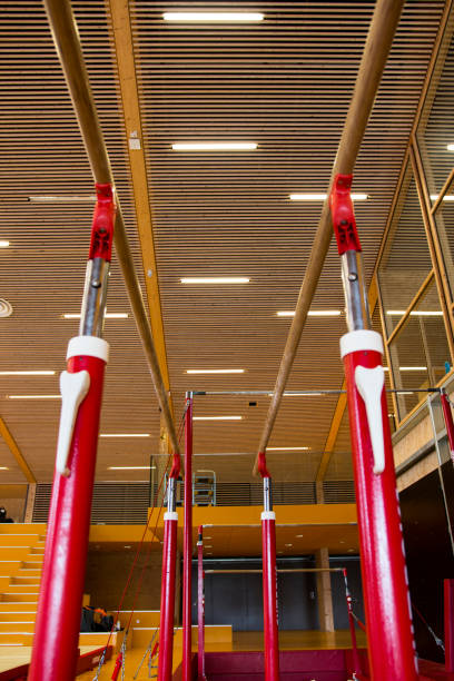 istock Gymnastic equipment in a gymnastic center 1142813913