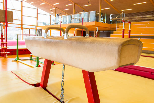 istock Gymnastic equipment in a gymnastic center 1142815252