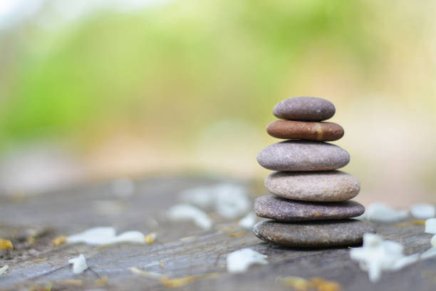 istock Six zen stones with fallen white flower left space position. 1142820327