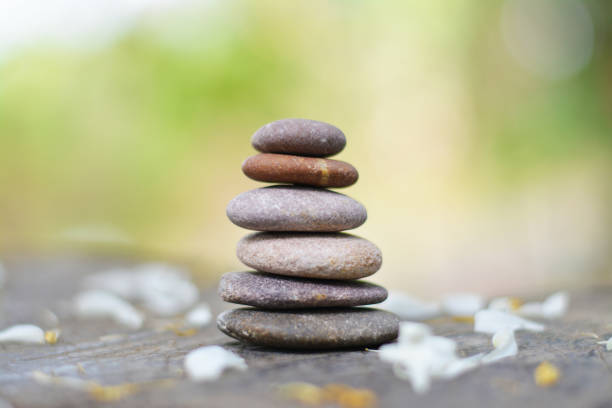 istock Six zen stones with fallen white flower middle position. 1142820365