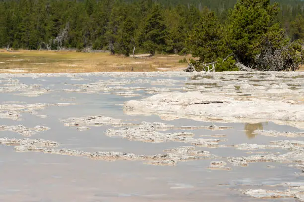 Geyser in Firehole canyon drive  in Yellowstone National Park in Wyoming