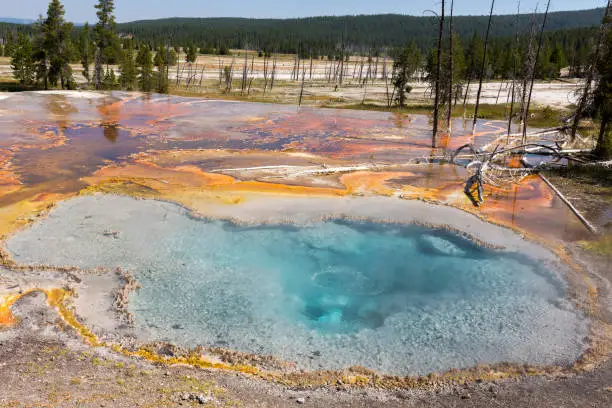 Geyser in Firehole canyon drive  in Yellowstone National Park in Wyoming