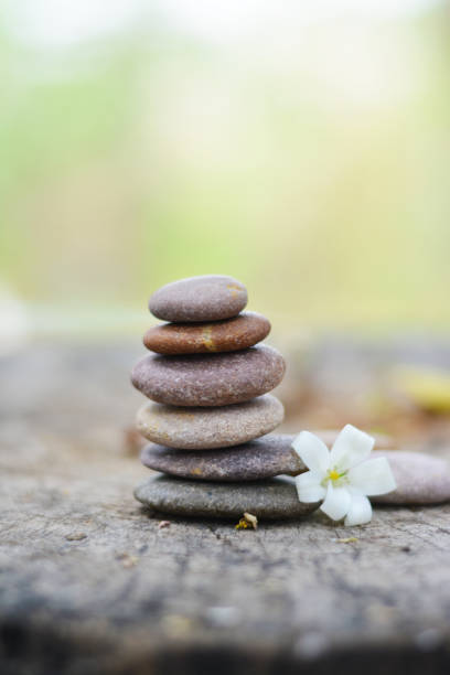 шесть камней дзен положить на серую древесину с двумя камнями и маленький белый цветок вертикальное положение. - buddhism zen like orchid stone стоковые фото и изображения