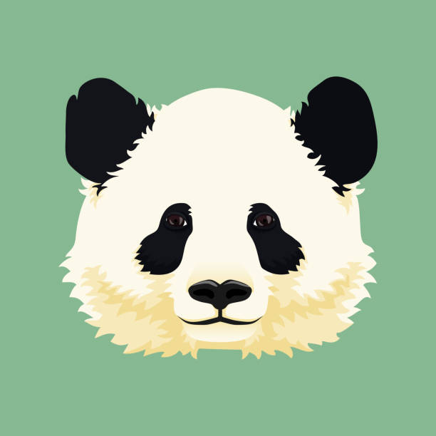 Cartoon vector illustration. Cute giant panda face. Black and white asian bear. Print, mask, poster design. Cartoon vector illustration. Cute giant panda face. Black and white asian bear. Print, mask, poster design. plush bear stock illustrations