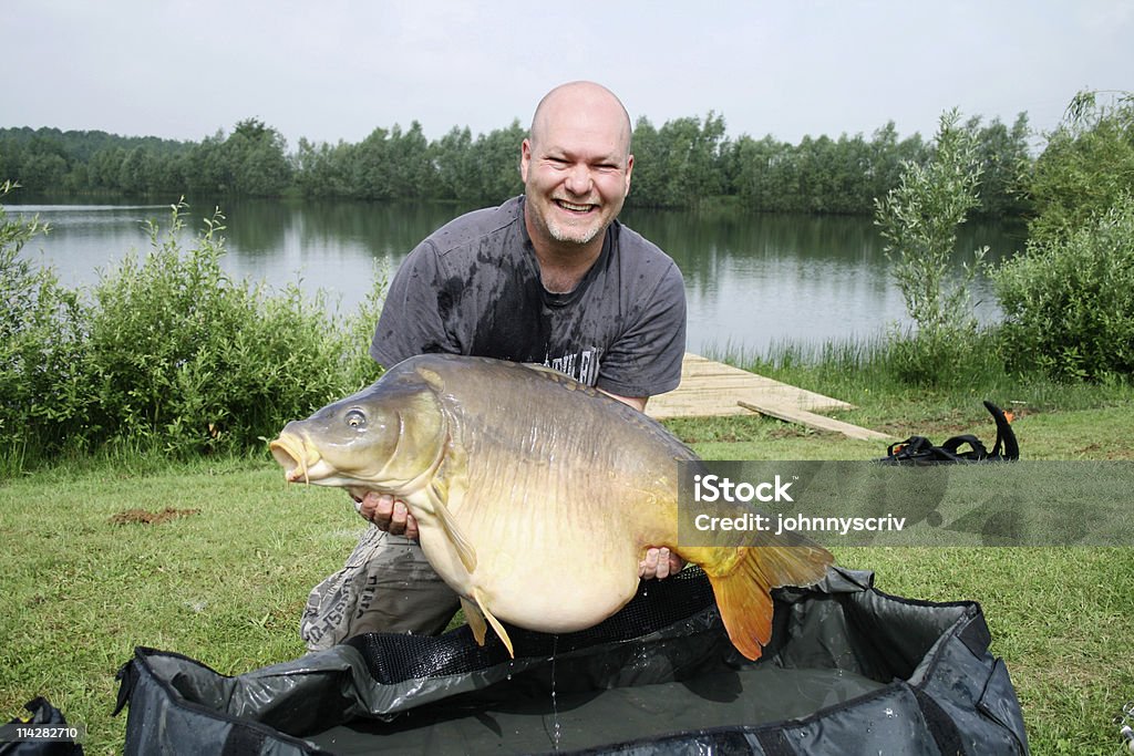 Lustro Carp. - Zbiór zdjęć royalty-free (Karp)