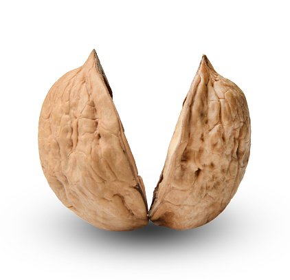 Two halves of chopped walnut. White isolated background. Close-up. Macro.