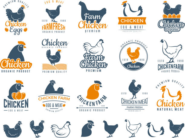 bildbanksillustrationer, clip art samt tecknat material och ikoner med kyckling märken. färsk gårds mat logo typ matlagning ägg och fågel slakt kycklingar vektor etiketter - hönsfågel